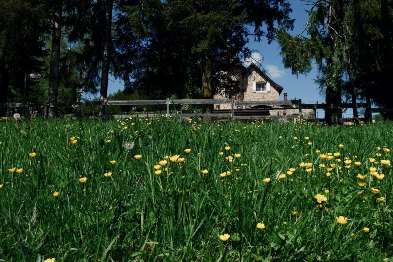 Manoir De Chantemerle Sainte-Fortunade Exteriör bild